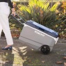 Cool Boxes on Wheels