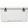 Igloo MaxCold XL 150 QT Cool Box (50905)