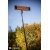 Adjustable Patio Heater with Remote Control 3