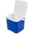 Igloo Cool Box 12 QT 2