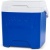 Igloo Cool Box 12 QT 4