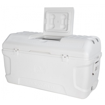 igloo max cold cool box